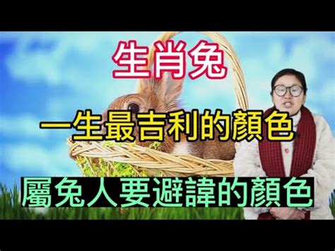 自己的幸運色|【幸運色查詢】